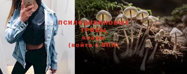 сатива Алексин
