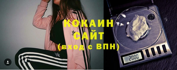 твердый Алексеевка